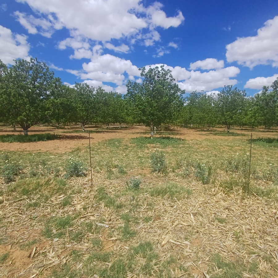 0 Bedroom Property for Sale in Bothaville Rural Free State